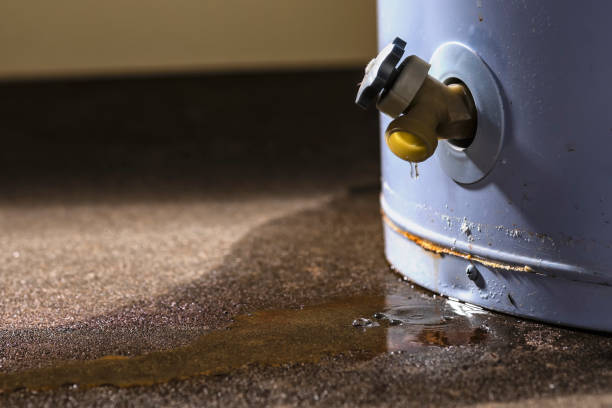 Best Professional water damage repair  in Mullins, SC