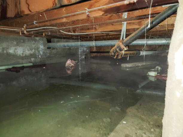 Best Commercial water damage restoration  in Mullins, SC