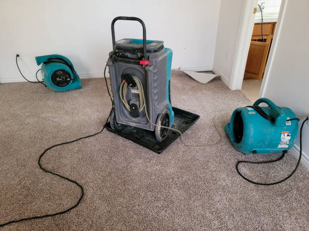 Best 24/7 water damage repair  in Mullins, SC