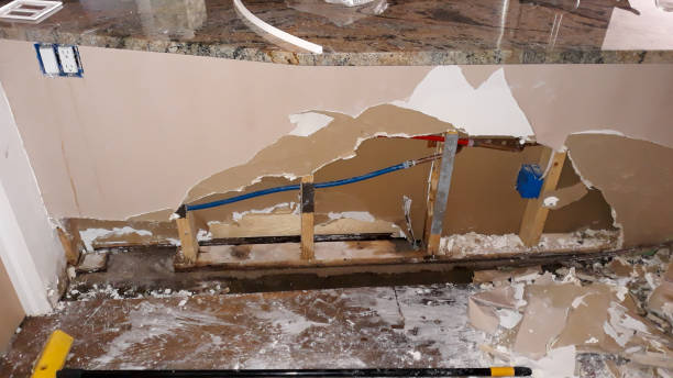Best Water damage restoration near me  in Mullins, SC