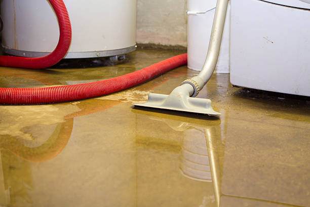 Best Carpet water damage restoration  in Mullins, SC