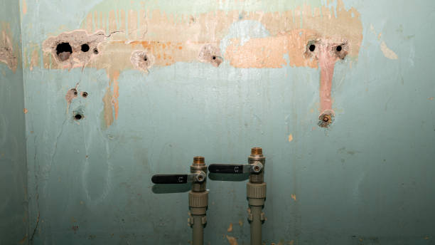Best Water damage contractors near me  in Mullins, SC
