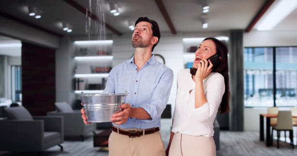 Reliable Mullins, SC Water damage restoration Solutions