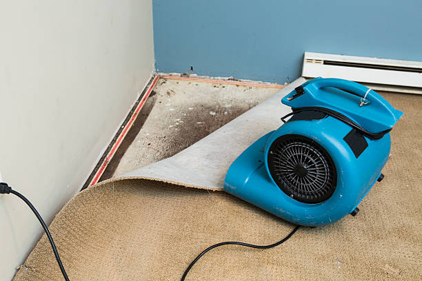 Best Water damage restoration near me  in Mullins, SC